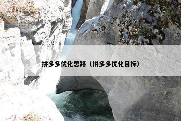 拼多多优化思路（拼多多优化目标）