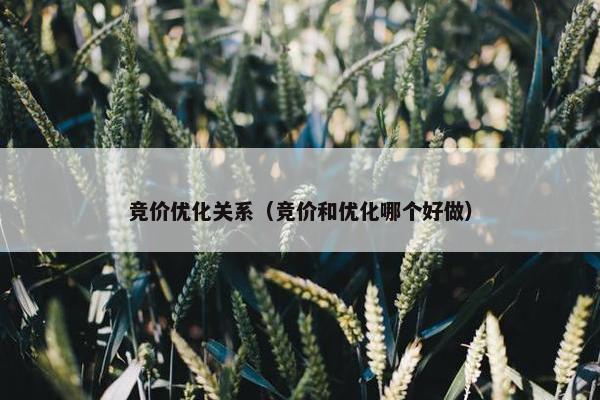 竞价优化关系（竞价和优化哪个好做）