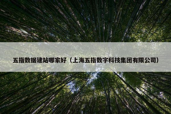 五指数据建站哪家好（上海五指数字科技集团有限公司）