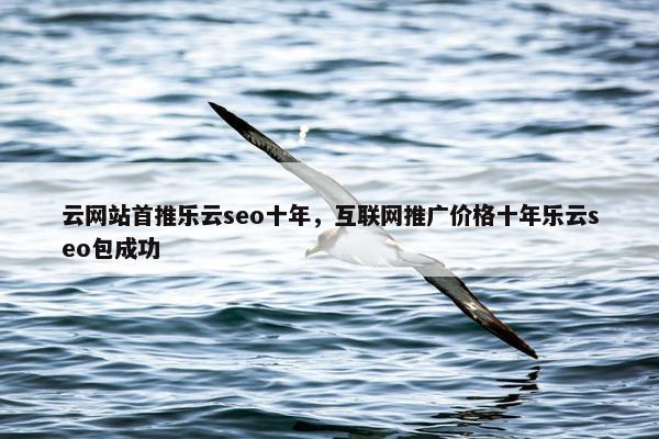 云网站首推乐云seo十年，互联网推广价格十年乐云seo包成功