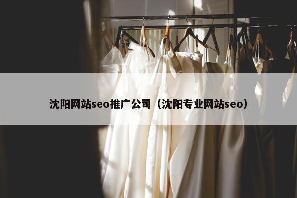 沈阳网站seo推广公司（沈阳专业网站seo）