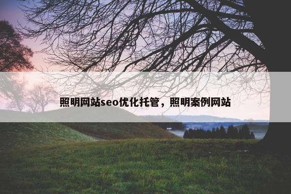照明网站seo优化托管，照明案例网站
