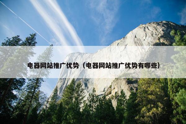 电器网站推广优势（电器网站推广优势有哪些）