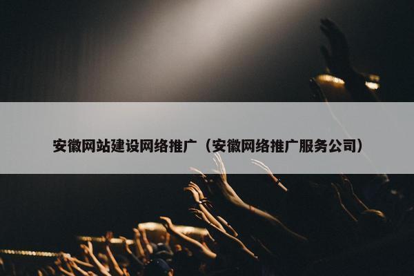 安徽网站建设网络推广（安徽网络推广服务公司）