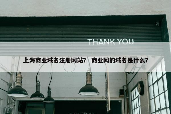 上海商业域名注册网站？ 商业网的域名是什么？