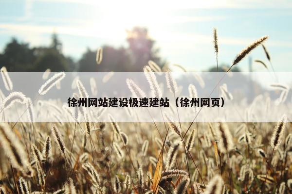徐州网站建设极速建站（徐州网页）