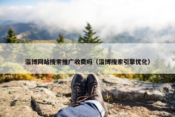 淄博网站搜索推广收费吗（淄博搜索引擎优化）