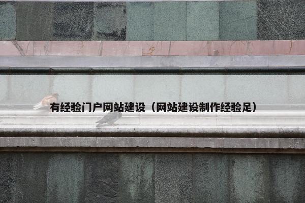 有经验门户网站建设（网站建设制作经验足）