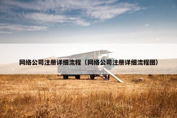 网络公司注册详细流程（网络公司注册详细流程图）