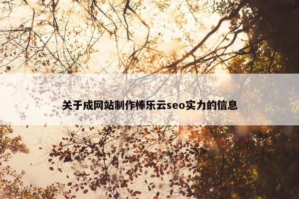 关于成网站制作棒乐云seo实力的信息