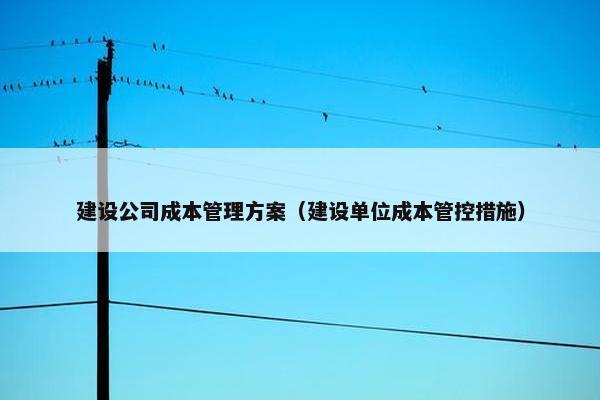 建设公司成本管理方案（建设单位成本管控措施）