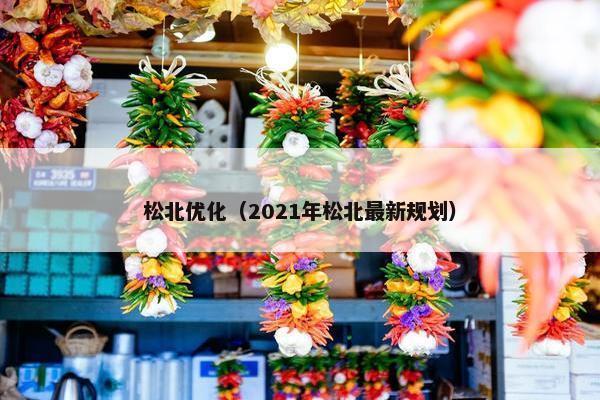 松北优化（2021年松北最新规划）