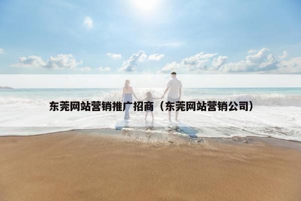 东莞网站营销推广招商（东莞网站营销公司）