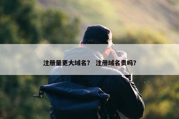 注册量更大域名？ 注册域名贵吗？
