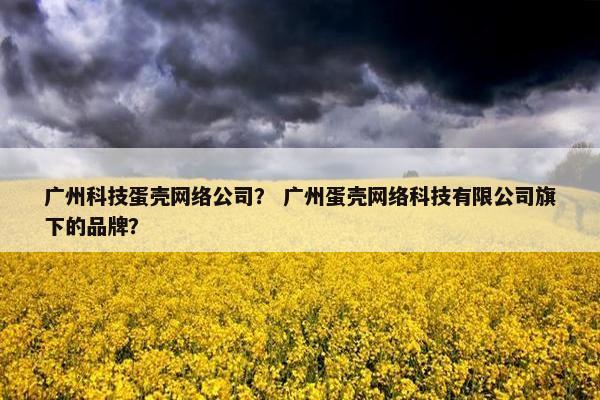 广州科技蛋壳网络公司？ 广州蛋壳网络科技有限公司旗下的品牌？
