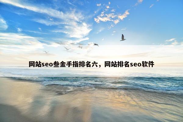 网站seo叁金手指排名六，网站排名seo软件