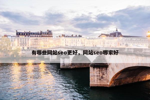 有哪些网站seo更好，网站seo哪家好
