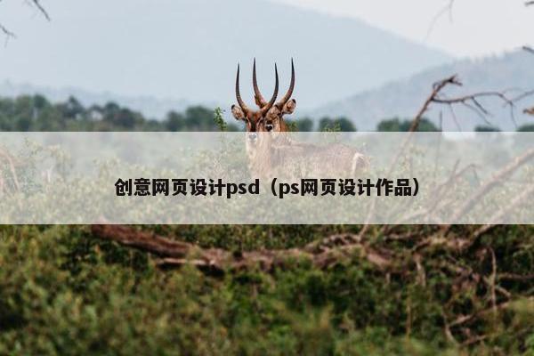 创意网页设计psd（ps网页设计作品）