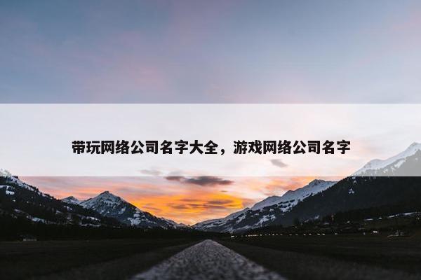 带玩网络公司名字大全，游戏网络公司名字