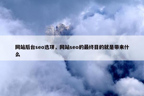 网站后台seo选项，网站seo的最终目的就是带来什么