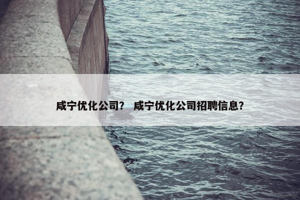咸宁优化公司？ 咸宁优化公司招聘信息？