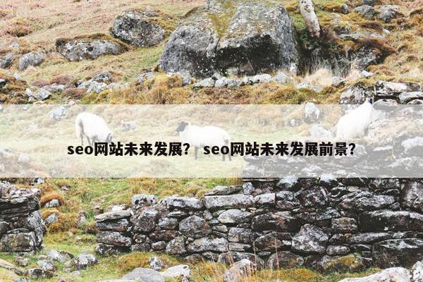 seo网站未来发展？ seo网站未来发展前景？