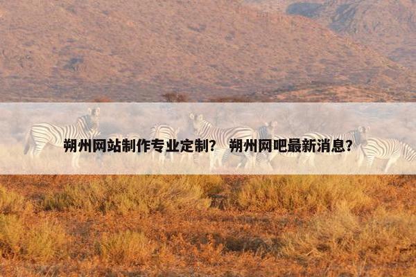 朔州网站制作专业定制？ 朔州网吧最新消息？