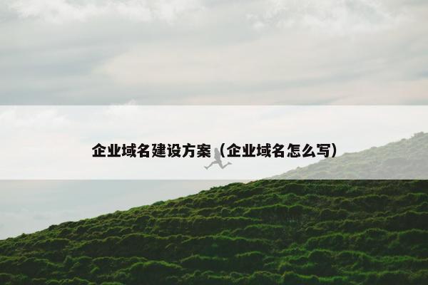 企业域名建设方案（企业域名怎么写）