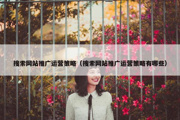 搜索网站推广运营策略（搜索网站推广运营策略有哪些）