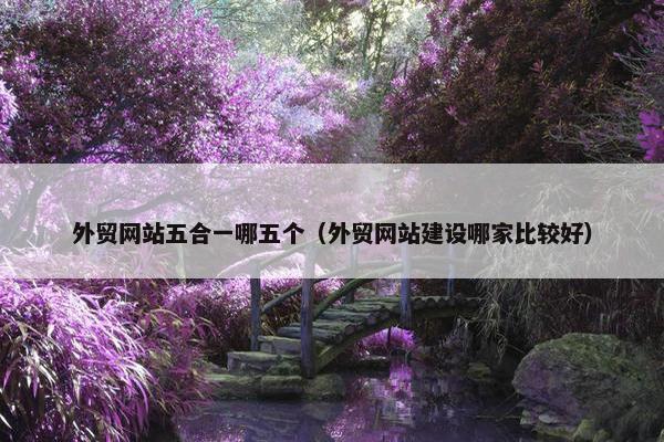 外贸网站五合一哪五个（外贸网站建设哪家比较好）