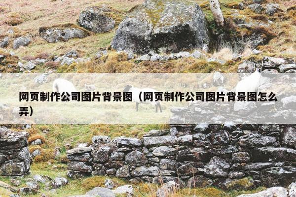 网页制作公司图片背景图（网页制作公司图片背景图怎么弄）