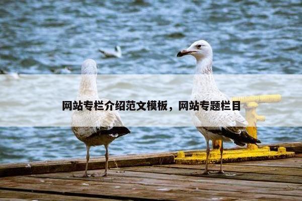 网站专栏介绍范文模板，网站专题栏目