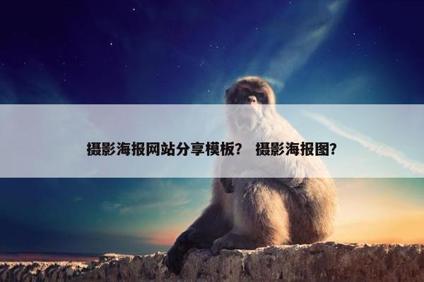 摄影海报网站分享模板？ 摄影海报图？