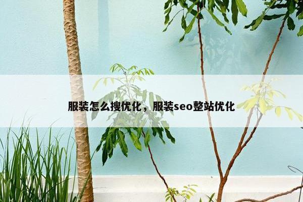 服装怎么搜优化，服装seo整站优化