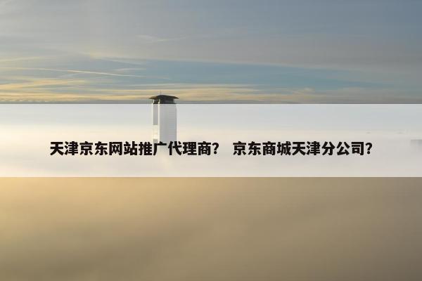 天津京东网站推广代理商？ 京东商城天津分公司？