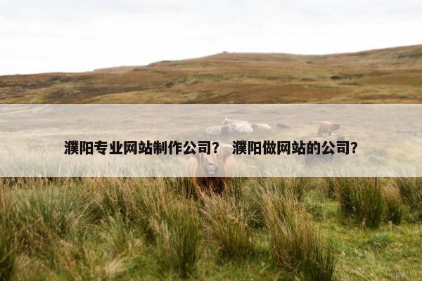 濮阳专业网站制作公司？ 濮阳做网站的公司？
