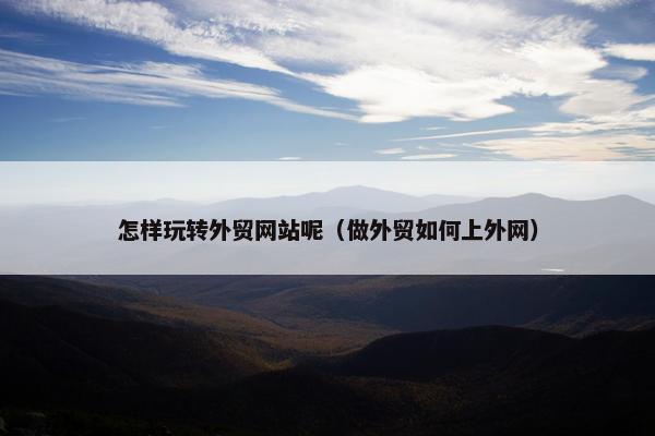 怎样玩转外贸网站呢（做外贸如何上外网）
