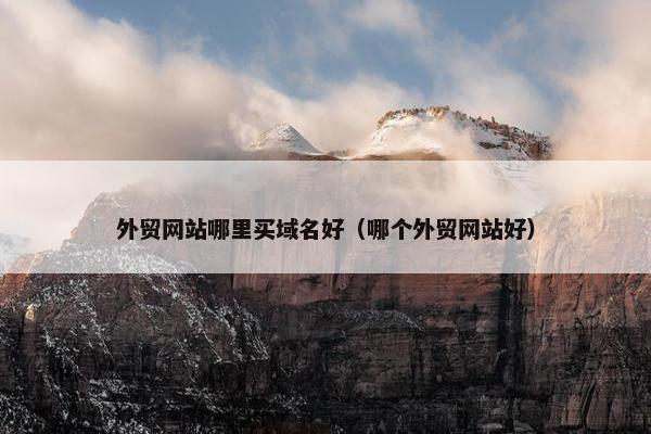 外贸网站哪里买域名好（哪个外贸网站好）