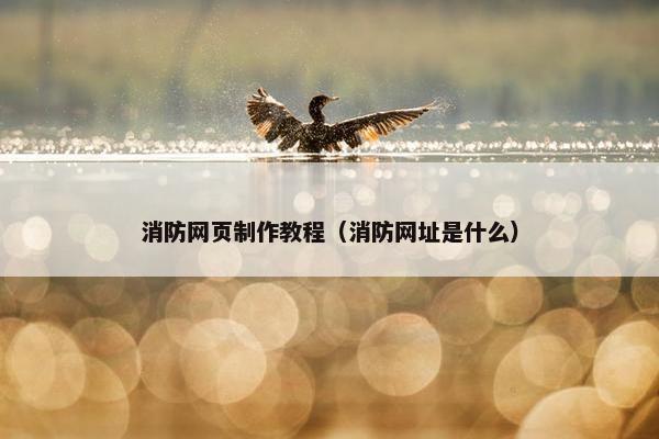 消防网页制作教程（消防网址是什么）