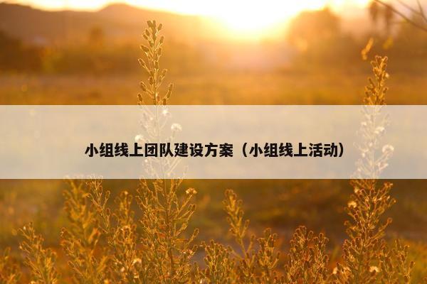 小组线上团队建设方案（小组线上活动）