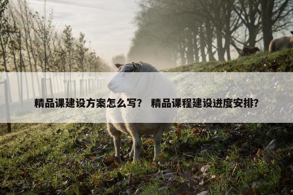 精品课建设方案怎么写？ 精品课程建设进度安排？