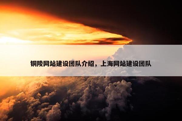 铜陵网站建设团队介绍，上海网站建设团队