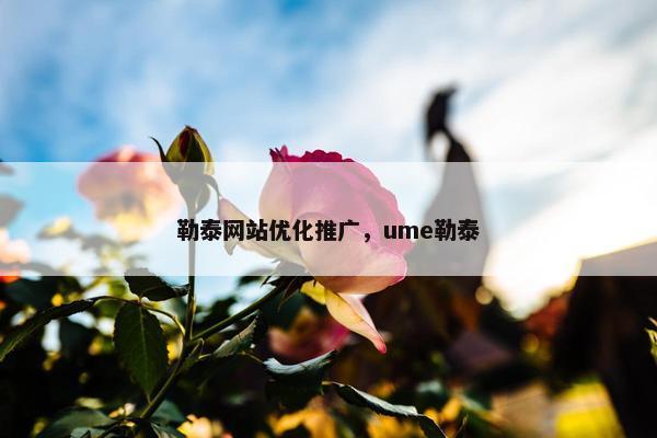勒泰网站优化推广，ume勒泰