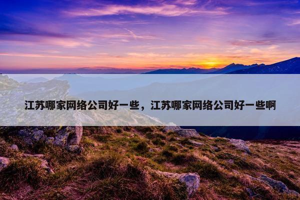 江苏哪家网络公司好一些，江苏哪家网络公司好一些啊