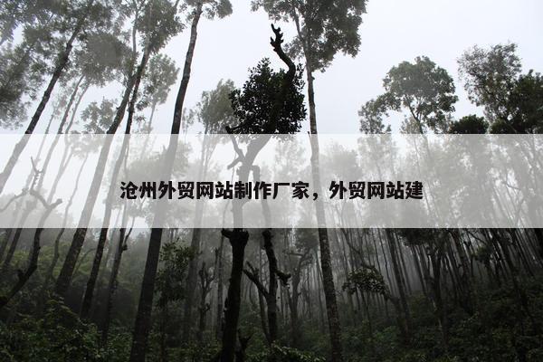 沧州外贸网站制作厂家，外贸网站建
