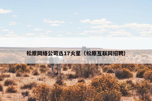 松原网络公司选17火星（松原互联网招聘）