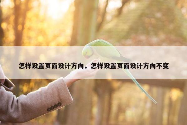 怎样设置页面设计方向，怎样设置页面设计方向不变