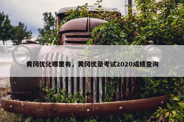 黄冈优化哪里有，黄冈优录考试2020成绩查询