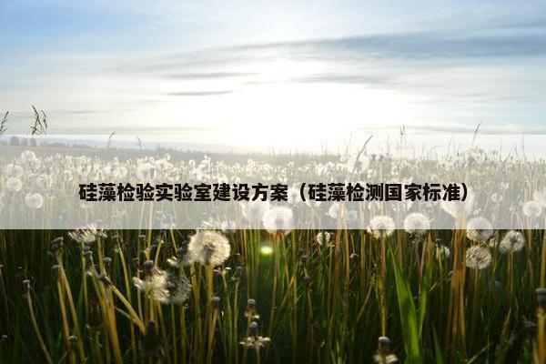 硅藻检验实验室建设方案（硅藻检测国家标准）