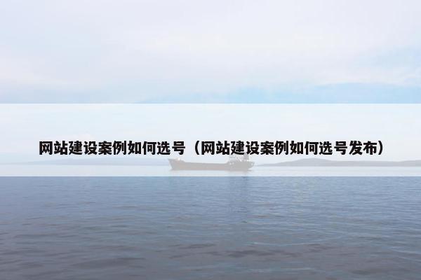 网站建设案例如何选号（网站建设案例如何选号发布）